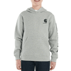 Carhartt Boys' Long Sleeve Graphic Sweatshirt - Heather Grey 4 - 7 - Lenny's Shoe & Apparel
