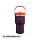 Stanley The IceFlow Flip Straw Tumbler 20 oz - Plum - Lenny's Shoe & Apparel