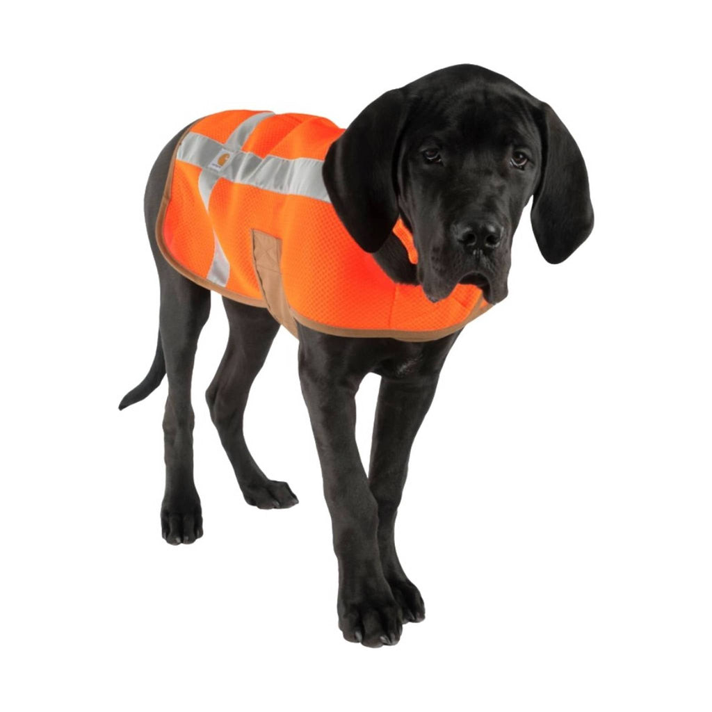 Carhartt Dog Safety Vest - Hunter Orange - Lenny's Shoe & Apparel