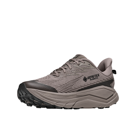 Gray running shoe with GORE-TEX logo on a white background