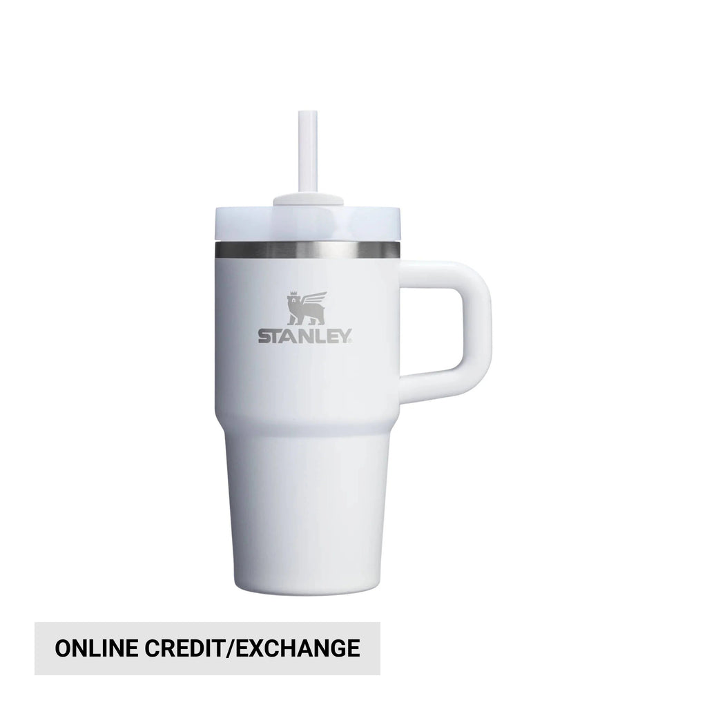 Stanley Quencher Flowstate Tumbler 20 OZ - Frost - Lenny's Shoe & Apparel