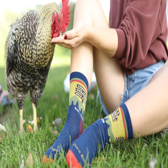 A person sitting on grass outdoors with a rooster standing beside them, wearing colorful printed socks. The product being shown is the socks, with a blue base, yellow-green graphic panels, and red/orange accents.
