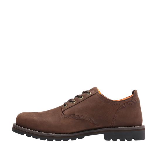 Brown leather shoe on a white background
