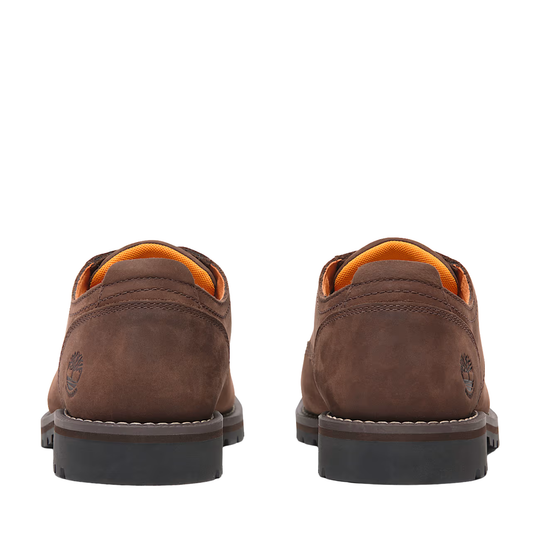 Brown shoes with orange lining on a white background