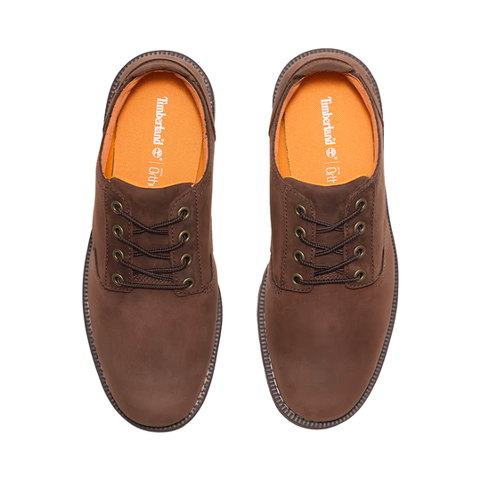 Pair of brown leather shoes with orange lining on a white background