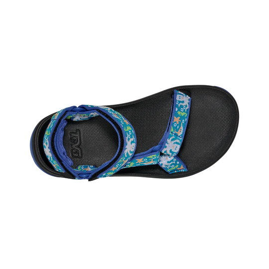 Black sandal with blue floral straps on a white background
