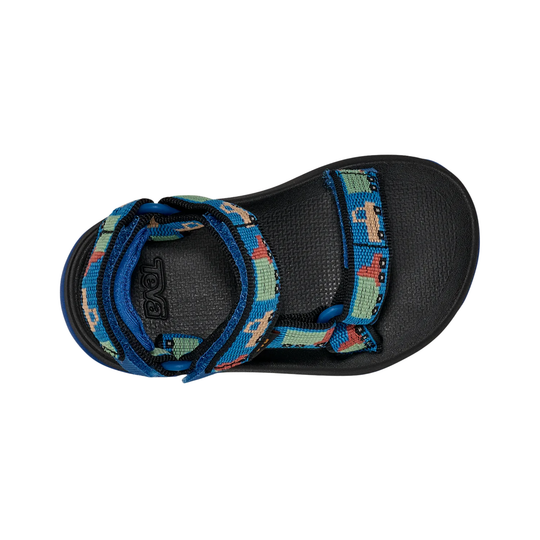 Black sandal with colorful straps on a white background