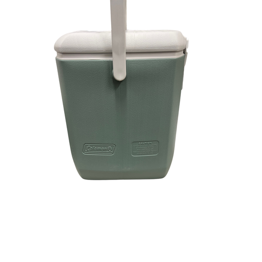 Green cooler bag with a white handle on a white background