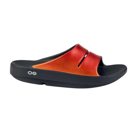 Black and red sandal on a white background