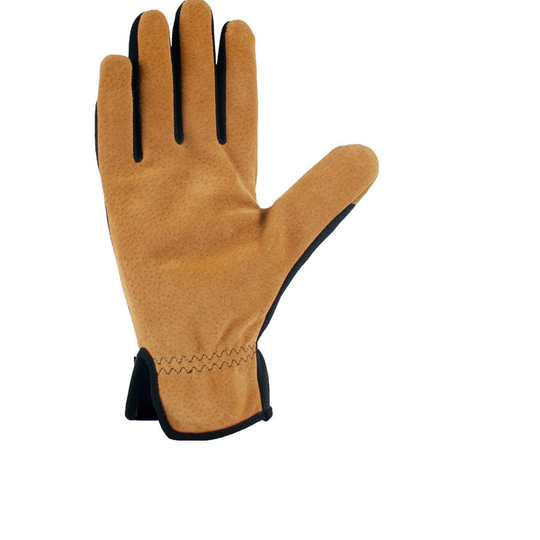 Palm Of Brown Glove