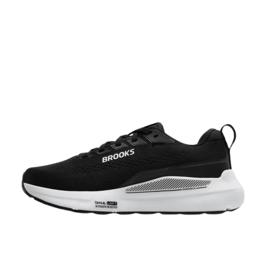Black and white sneaker with Nike logo on a white background