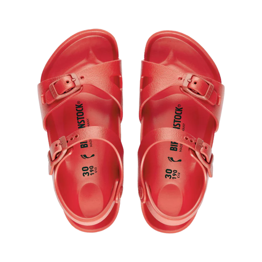 Red Birkenstock sandals on a white background