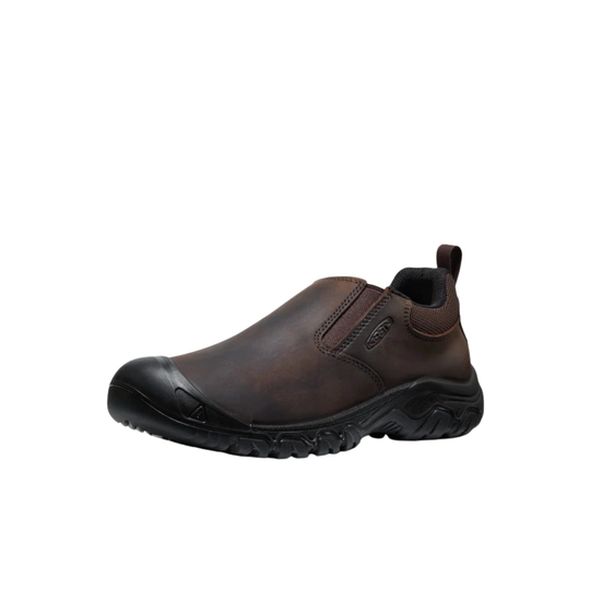 Brown sneakers on a white background