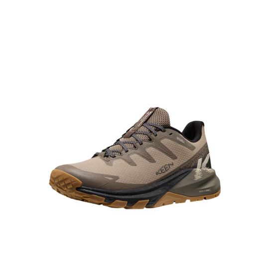 Brown and black hiking shoe on a white background