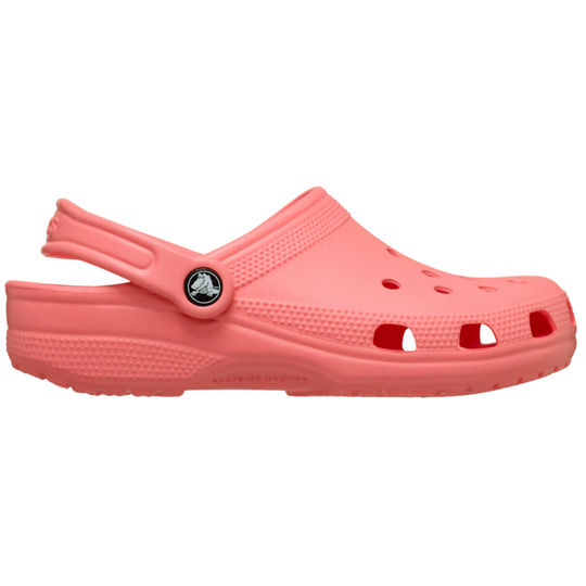 Guava clog shoe on a white background