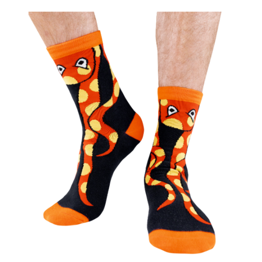 Blue & Orange socks with snake design on a white background