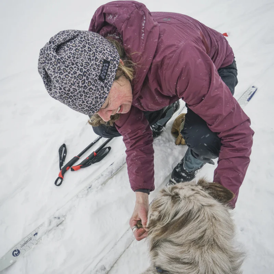 Person in winter clothing petting a dog in the snow with ski equipment nearby