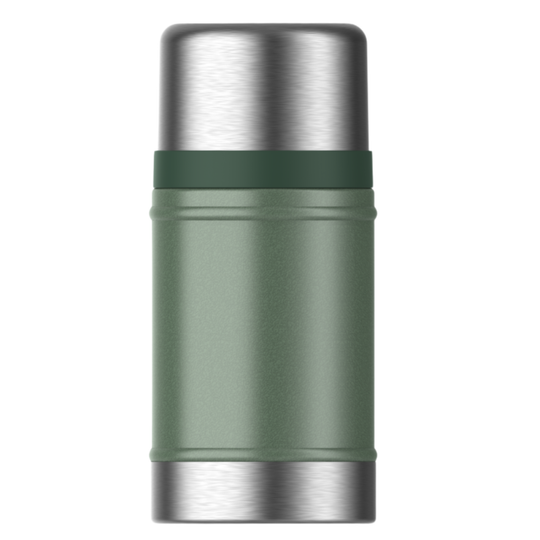 A reusable insulated bottle or thermos with a matte sage green body, brushed stainless steel top and bottom, and a dark green band around the middle, shown on a plain white background.