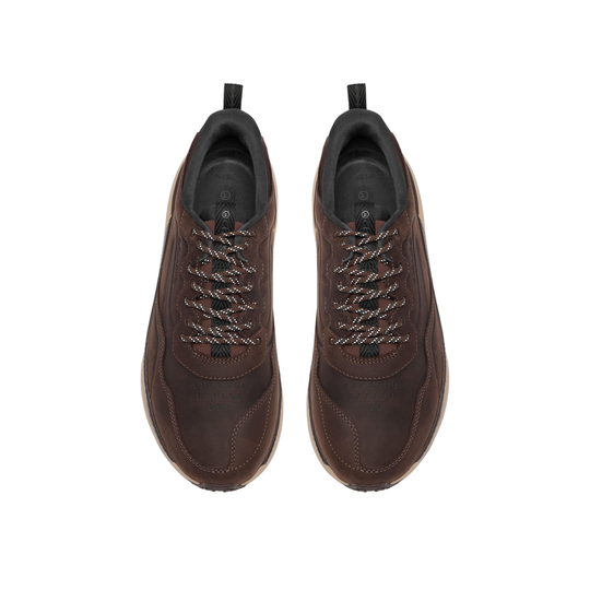 A pair of dark brown leather low-top sneakers shown from a top-down view on a solid white background.