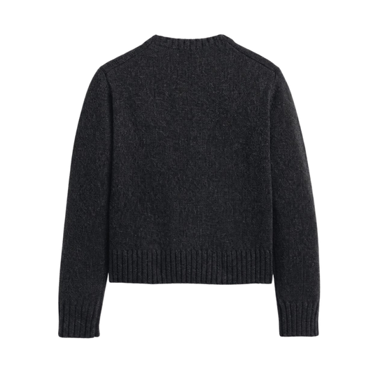A dark charcoal gray knit sweater shown from the back, featuring a crew neck, long sleeves, and ribbed cuffs and hem, displayed on a solid white background.