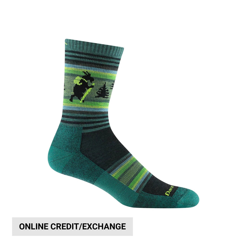 Darn Tough Vermont Men's Willoughby Micro Crew Lightweight Hiking Sock - Willow - Lenny's Shoe & Apparel