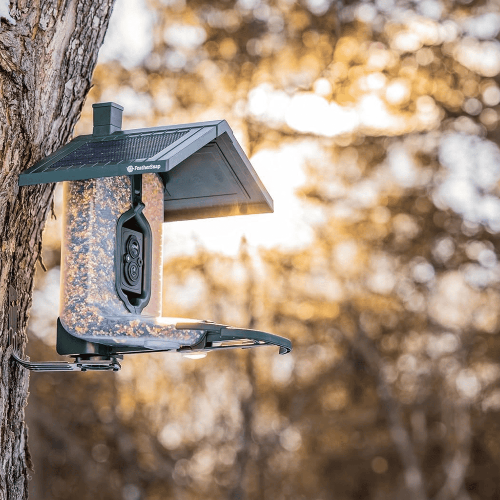 FeatherSnap Scout WiFi Solar Powered Smart Bird Feeder - Green - Lenny's Shoe & Apparel