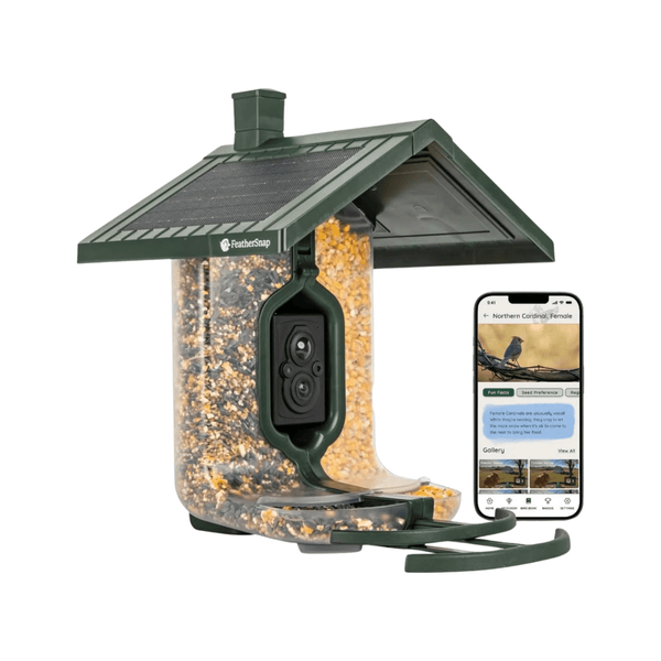 FeatherSnap Scout WiFi Solar Powered Smart Bird Feeder - Green
