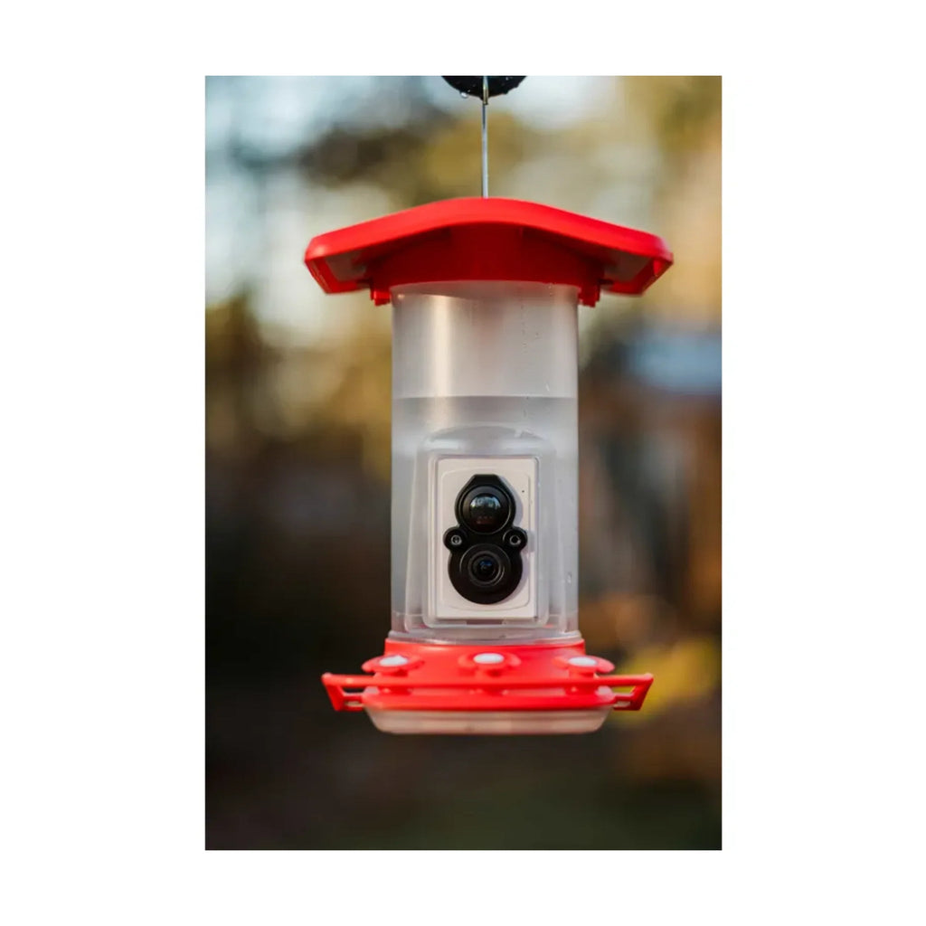 FeatherSnap Smart Hummingbird Feeder - Red - Lenny's Shoe & Apparel
