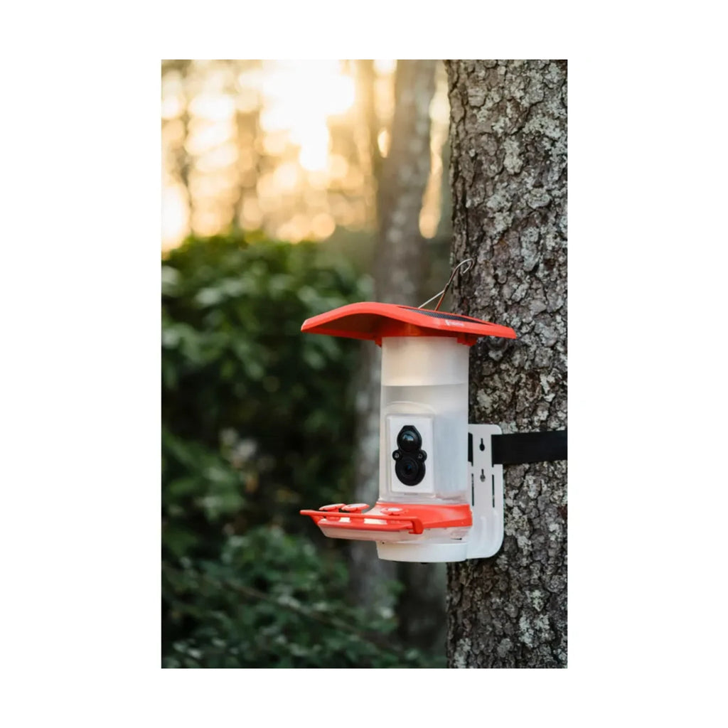 FeatherSnap Smart Hummingbird Feeder - Red - Lenny's Shoe & Apparel