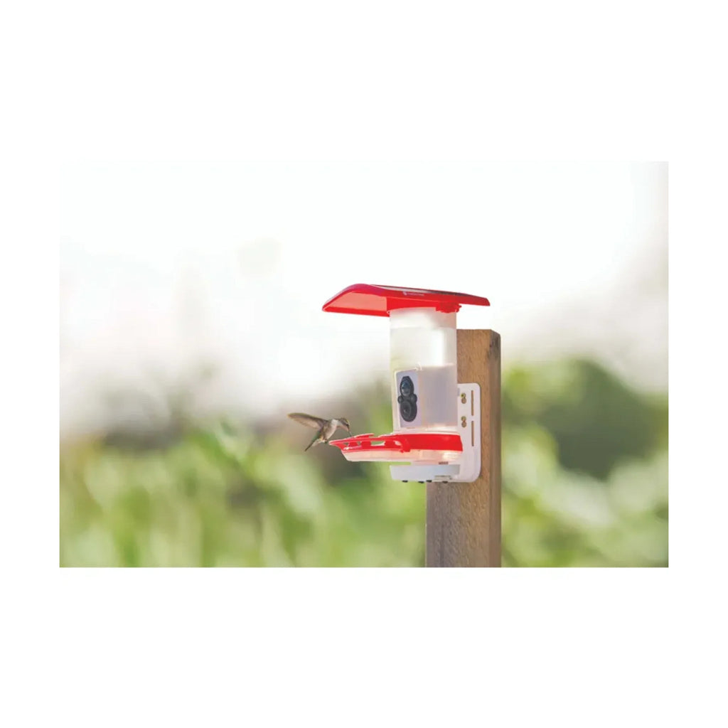 FeatherSnap Smart Hummingbird Feeder - Red - Lenny's Shoe & Apparel