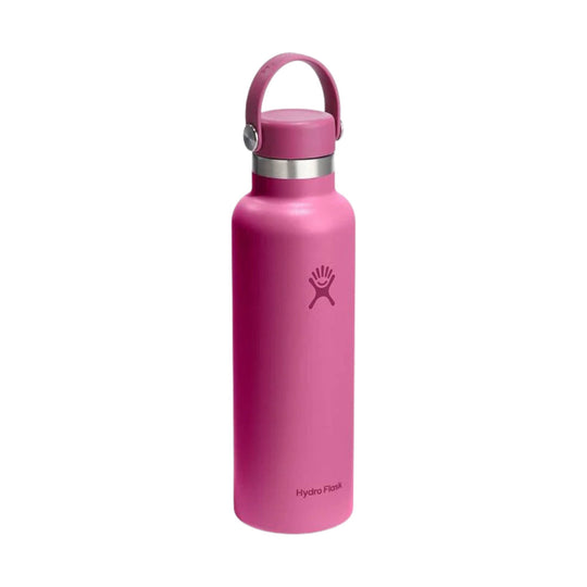 Pink insulated water bottle with a loop handle and silver band near the lid