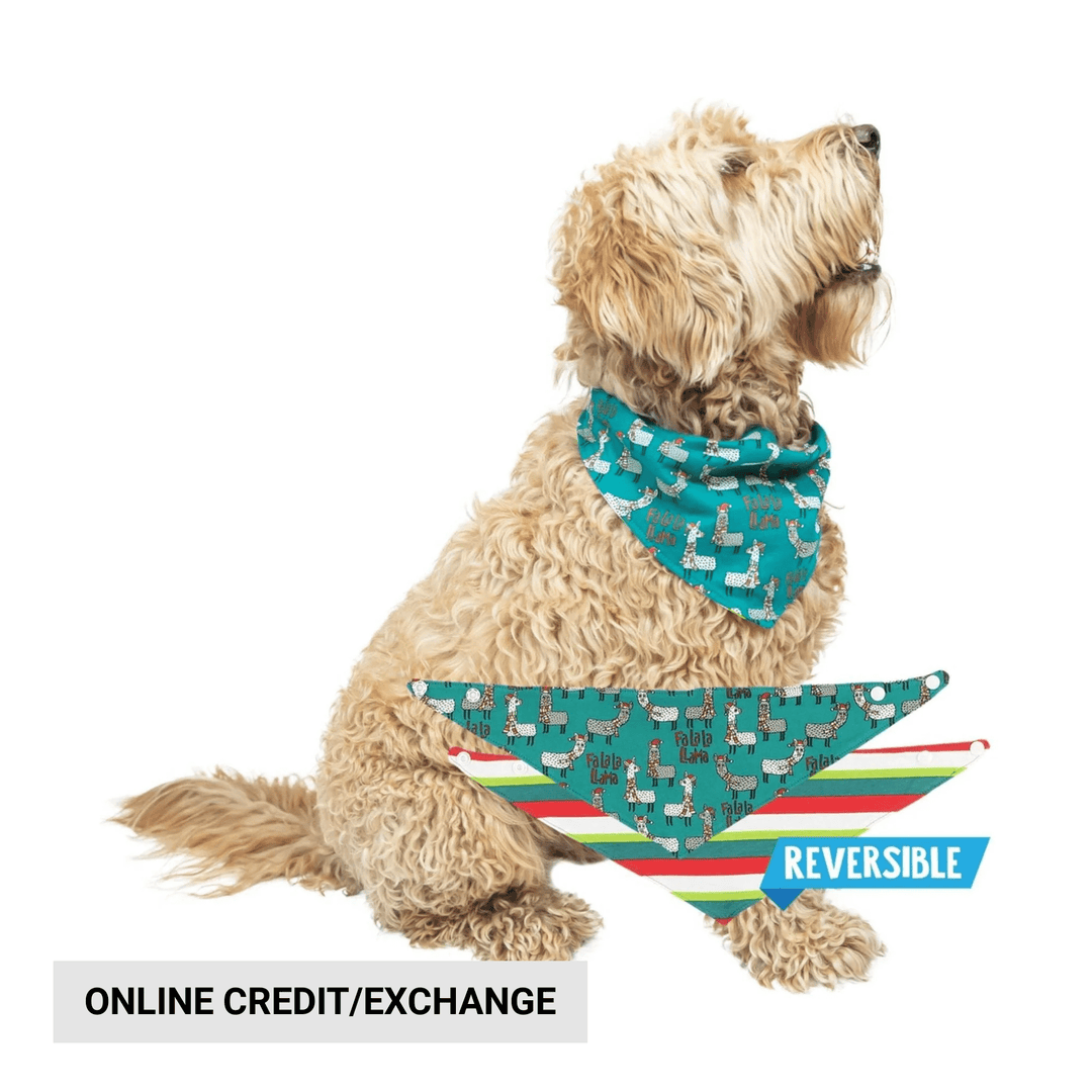 Teal dog bandana with llama pattern, shown reversible with striped side and "REVERSIBLE" label