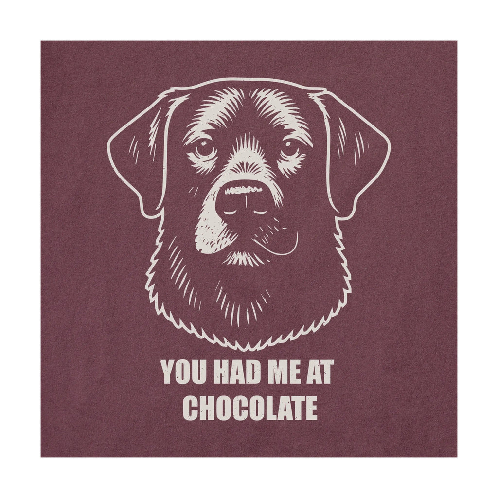 Life Is Good Women's Bert's You Had Me at Chocolate Lab Short Sleeve Crusher Tee - Mahogany Brown - Lenny's Shoe & Apparel