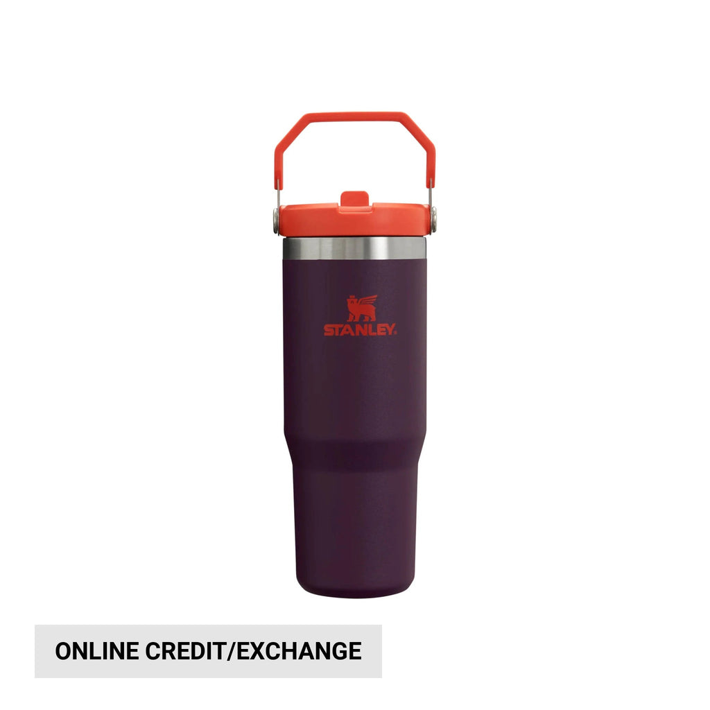 Stanley Iceflow Flip Straw Tumbler 30 OZ - Plum - Lenny's Shoe & Apparel