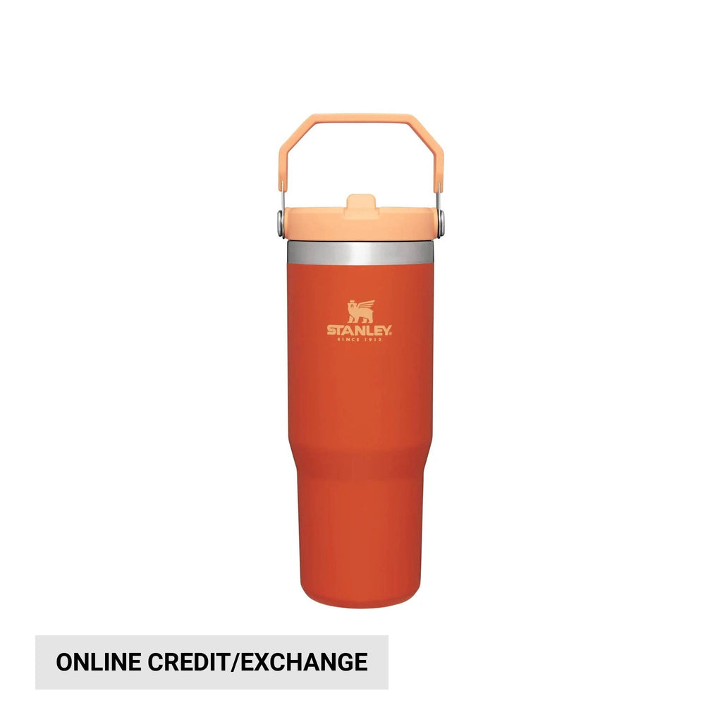 Stanley Iceflow Flip Straw Tumbler 30 OZ - Tigerlily - Lenny's Shoe & Apparel
