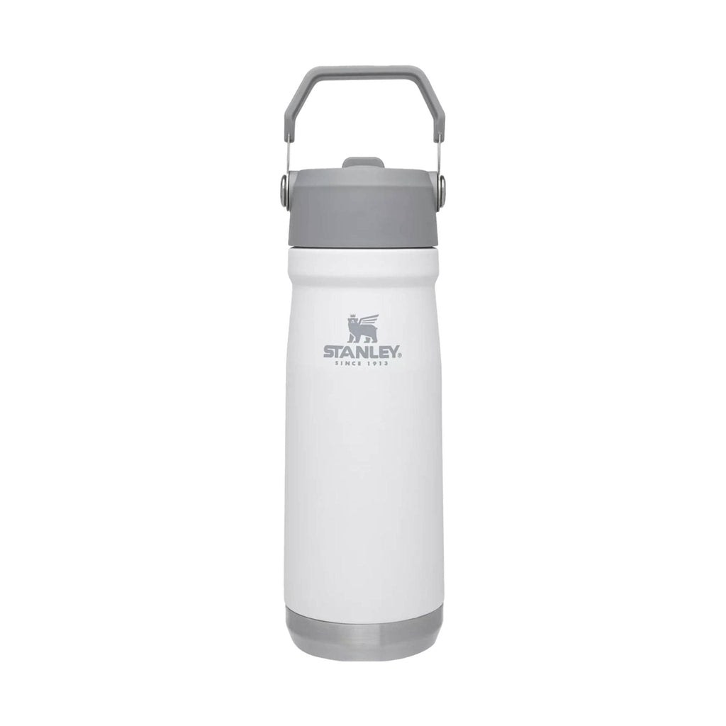 Stanley IceFlow Flip Straw Water Bottle 22 OZ - Polar - Lenny's Shoe & Apparel