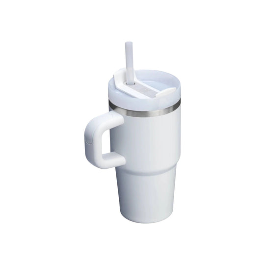 Stanley Quencher Flowstate Tumbler 20 OZ - Frost - Lenny's Shoe & Apparel