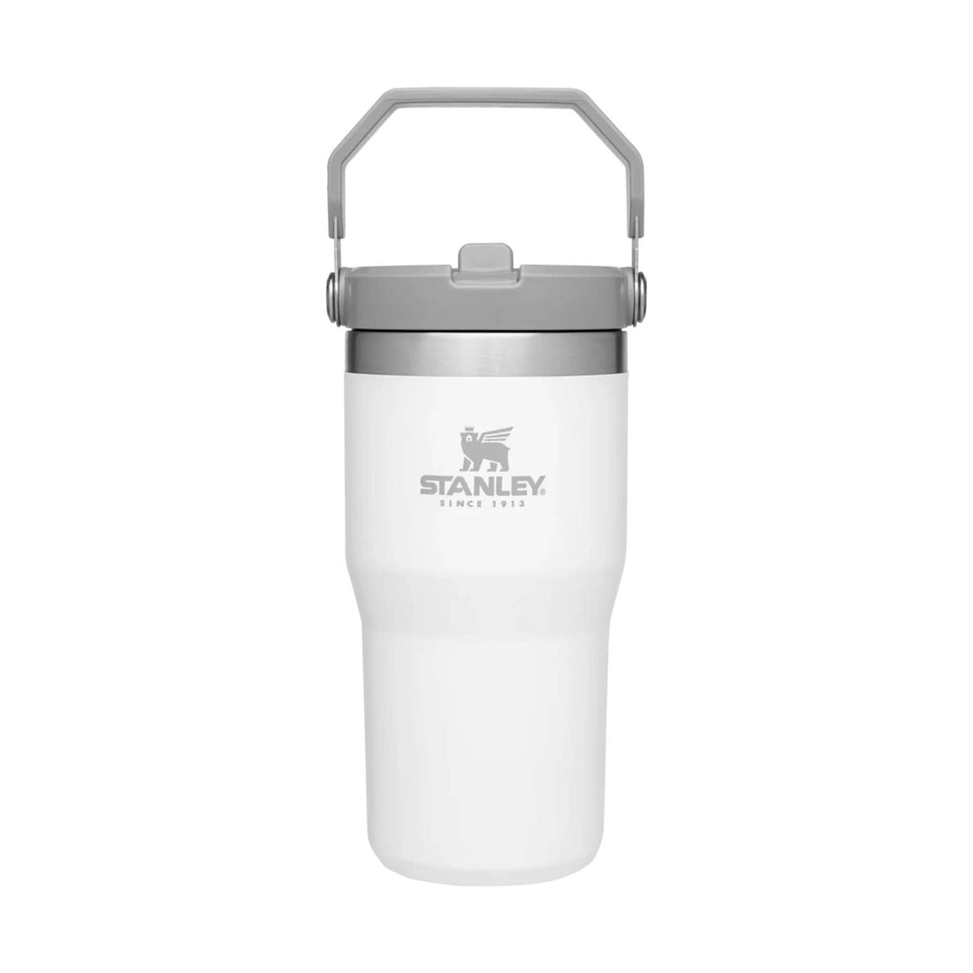 Stanley The IceFlow Flip Straw Tumbler 20 oz - Polar - Lenny's Shoe & Apparel