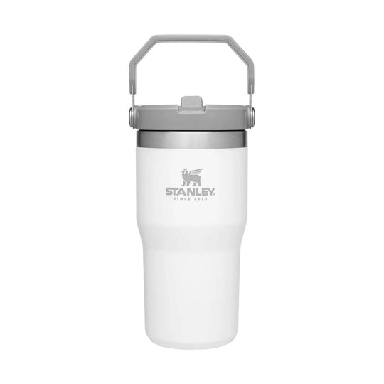 Stanley The IceFlow Flip Straw Tumbler 20 oz - Polar - Lenny's Shoe & Apparel