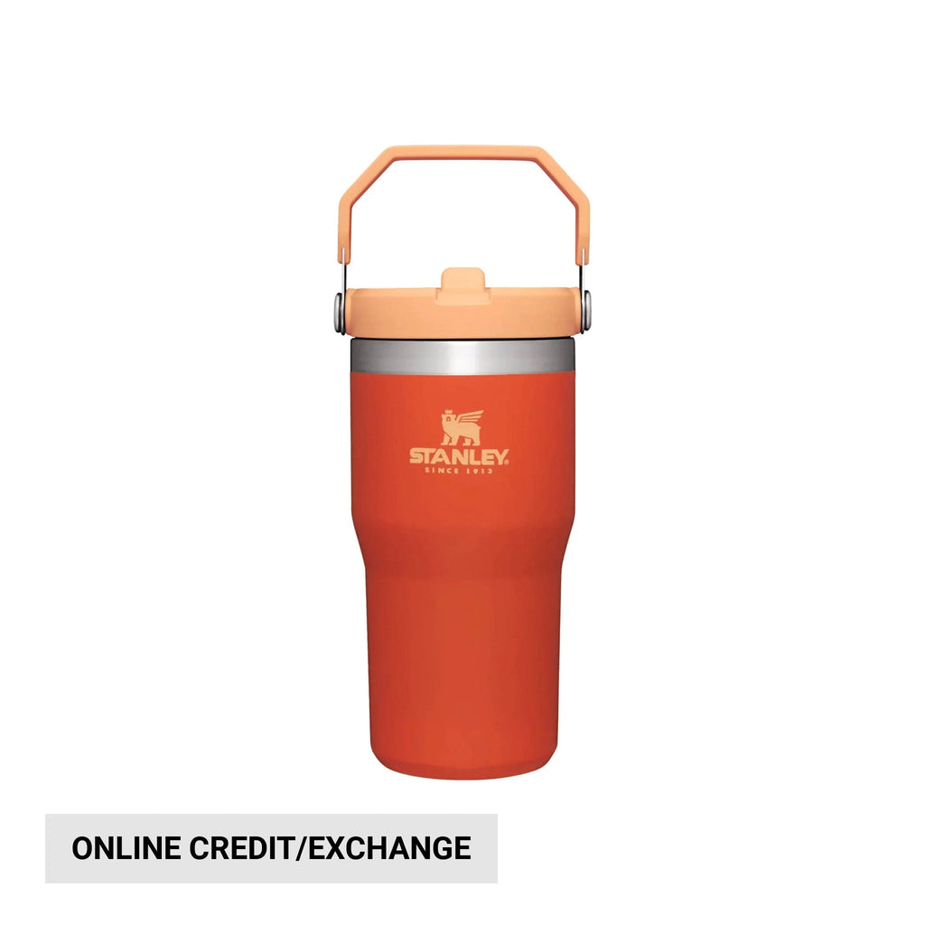 Stanley The IceFlow Flip Straw Tumbler 20 oz - Tigerlily - Lenny's Shoe & Apparel