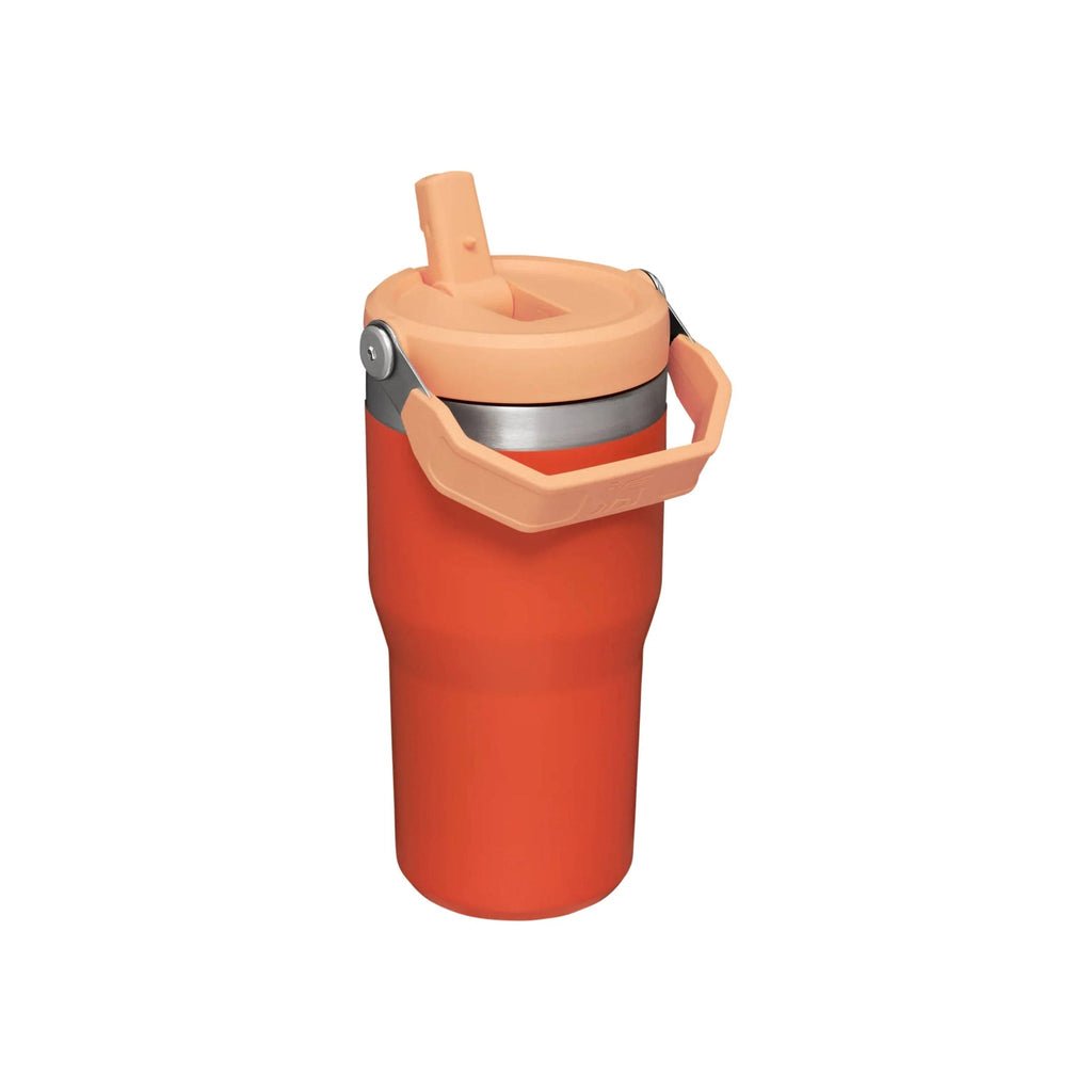 Stanley The IceFlow Flip Straw Tumbler 20 oz - Tigerlily - Lenny's Shoe & Apparel