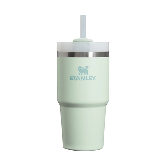 Mint insulated tumbler with clear lid and straw, featuring Stanley logo