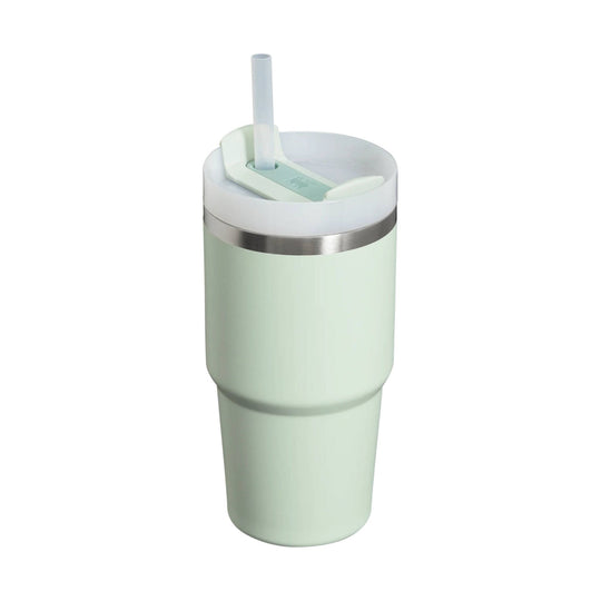 Light mint insulated tumbler with white lid, clear straw, and stainless steel band
