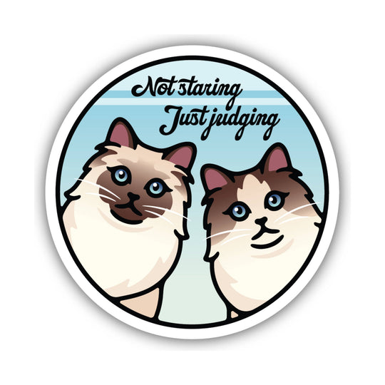 Sticker Northwest Not Staring - Lenny's Shoe & Apparel