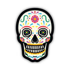 Sticker Northwest Skull - Lenny's Shoe & Apparel