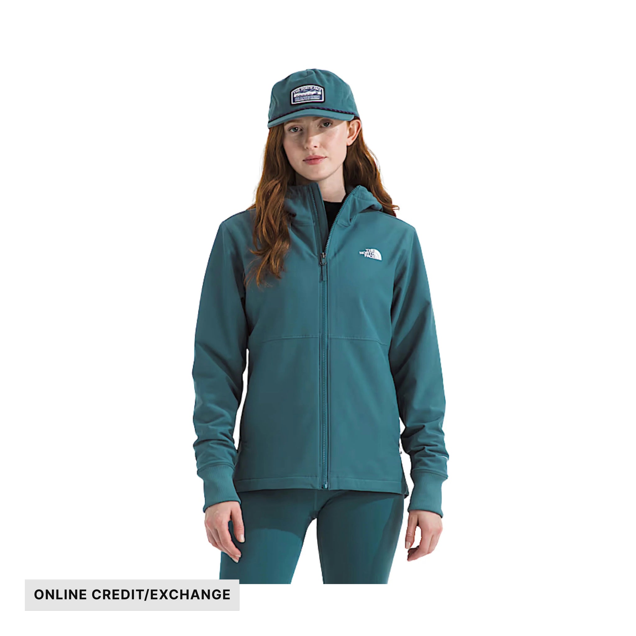 The North Face フード付き レディース スキーウェア 緑/青 The North Face Women's Shelbe Raschel Hoodie Jacket - Space
