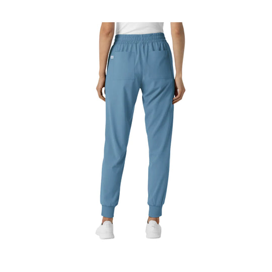 Light blue jogger scrub pants with elastic waistband, cuffed ankles, and back pockets, shown from the back