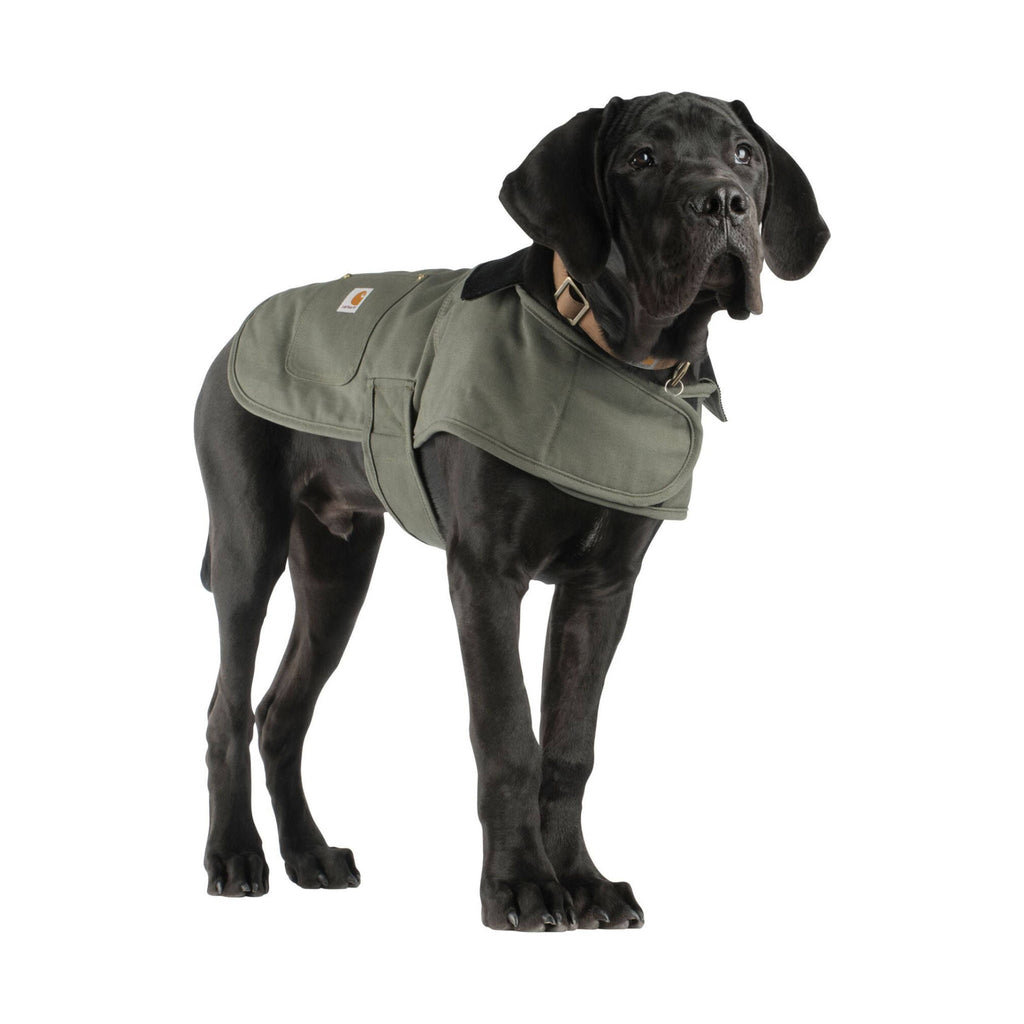 Carhartt Firm Duck Insulated Dog Chore Coat - Army Green - Lenny's Shoe & Apparel