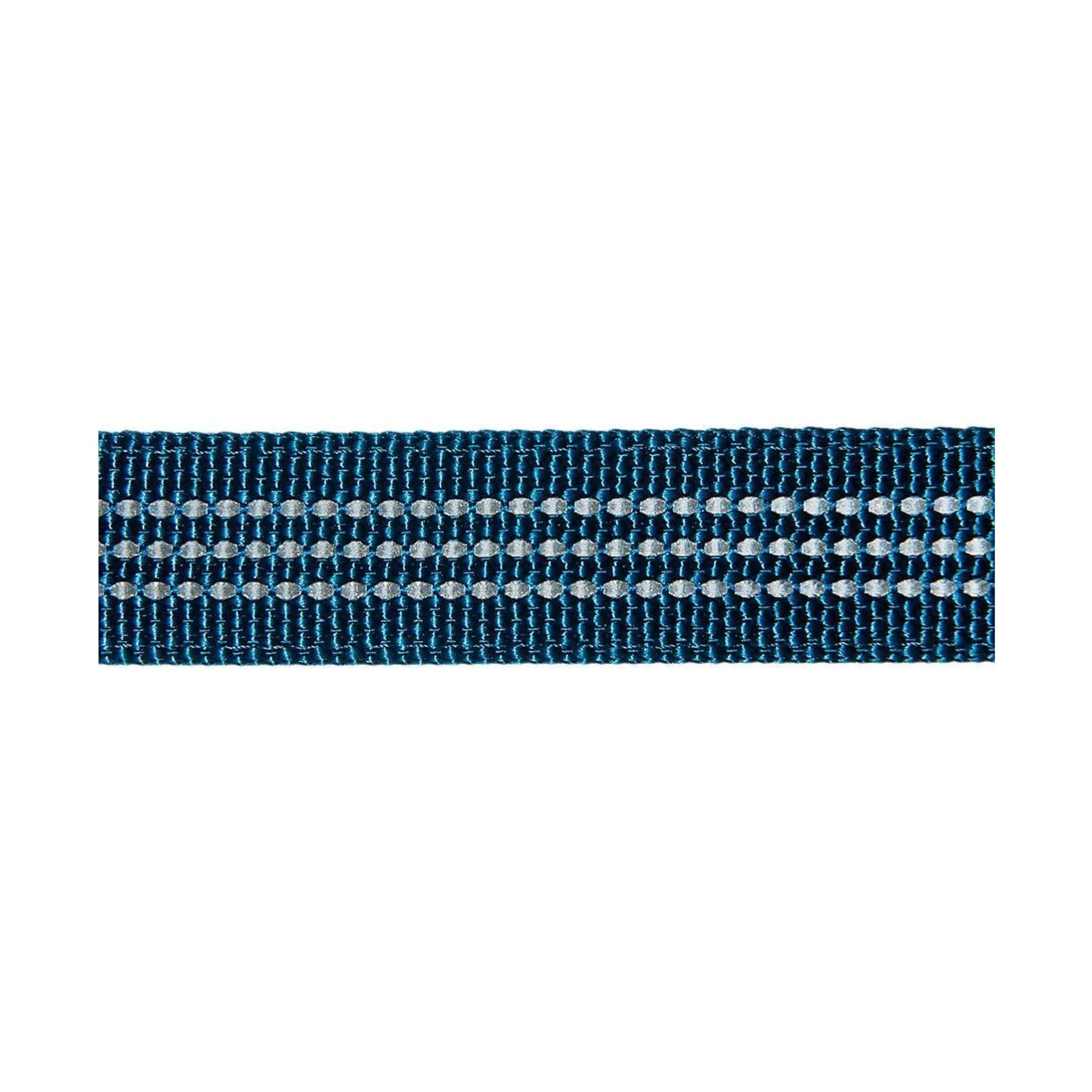 Carhartt Nylon Duck Dog Leash | Marine Blue