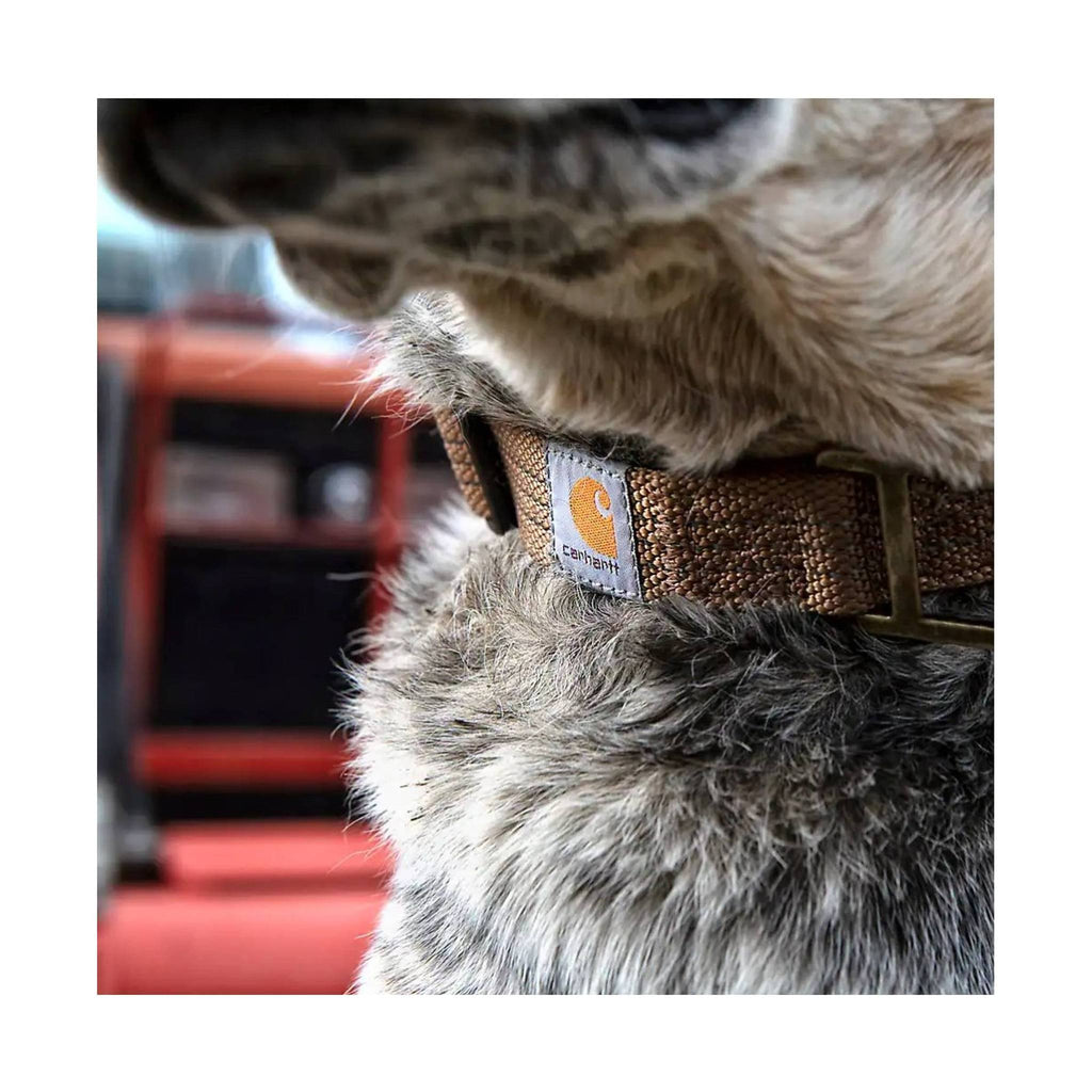 Carhartt Tradesman Dog Collar - Mossy Oak - Lenny's Shoe & Apparel